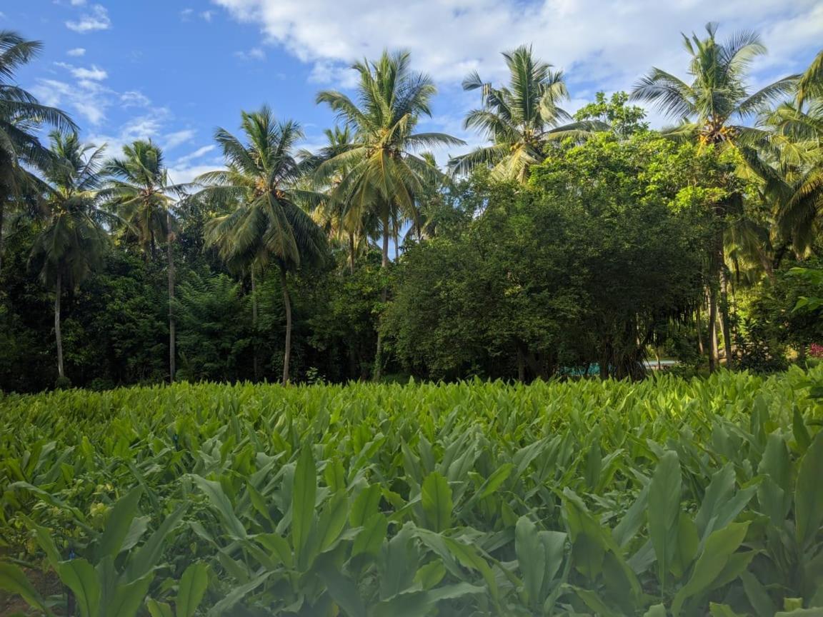 Soba Lanka Holiday Resort Melsiripura 외부 사진