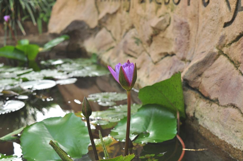 Soba Lanka Holiday Resort Melsiripura 외부 사진