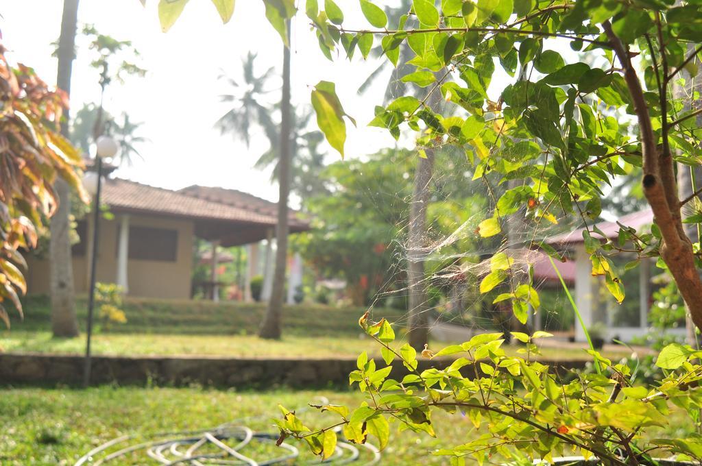 Soba Lanka Holiday Resort Melsiripura 외부 사진