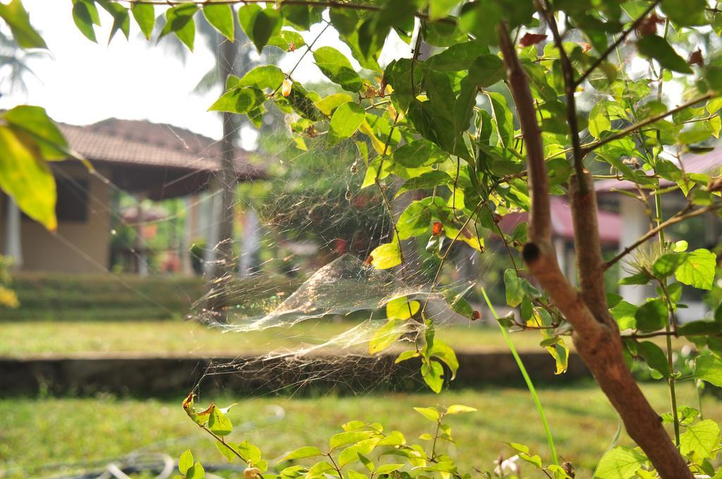 Soba Lanka Holiday Resort Melsiripura 외부 사진