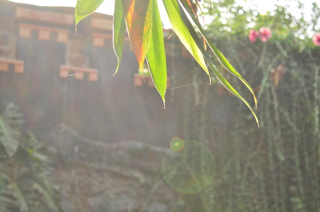 Soba Lanka Holiday Resort Melsiripura 외부 사진