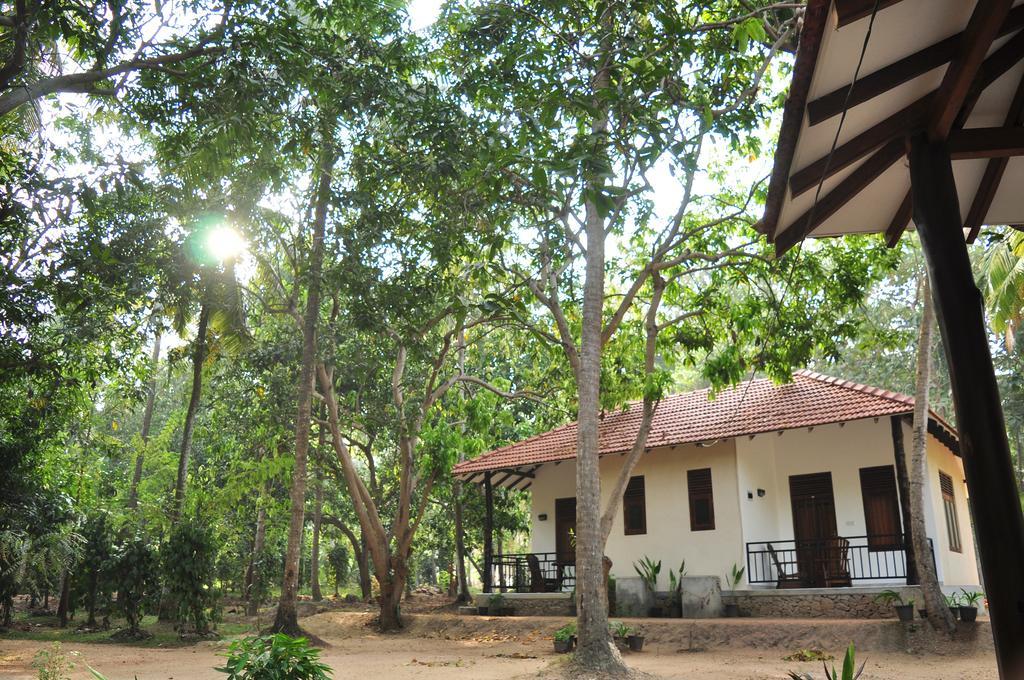 Soba Lanka Holiday Resort Melsiripura 외부 사진