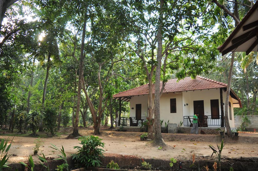 Soba Lanka Holiday Resort Melsiripura 외부 사진