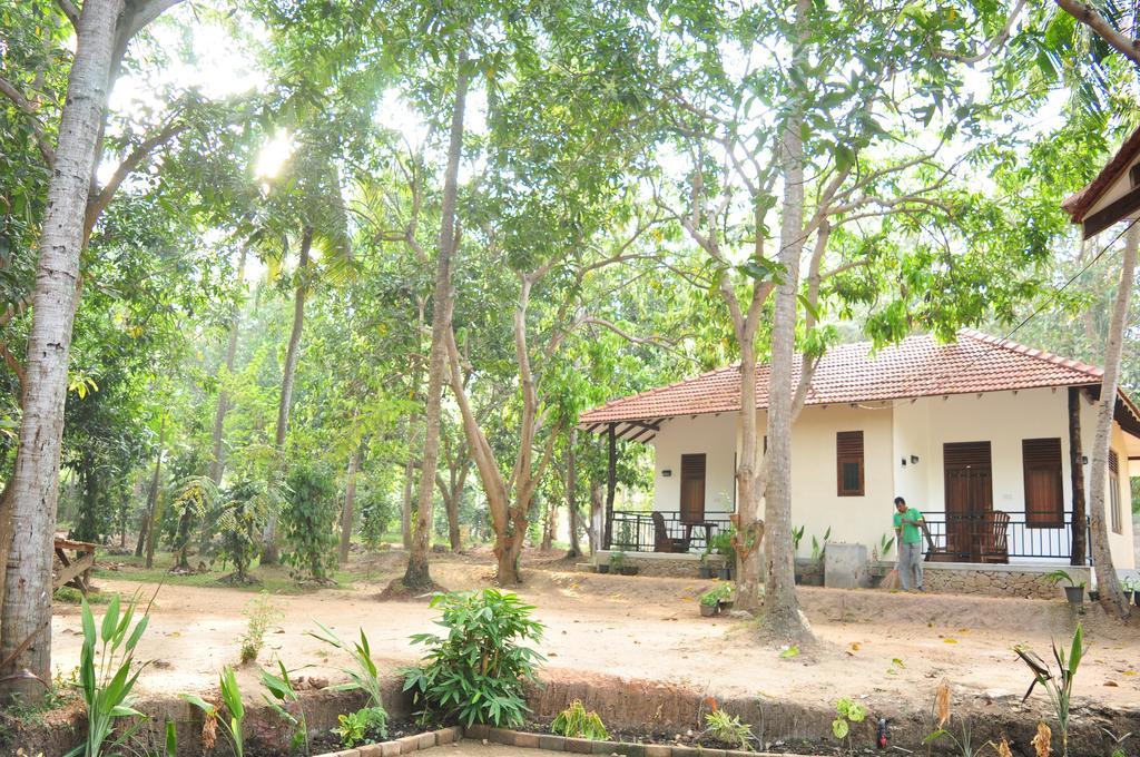 Soba Lanka Holiday Resort Melsiripura 외부 사진