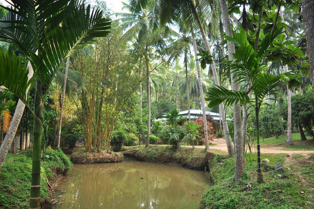 Soba Lanka Holiday Resort Melsiripura 외부 사진