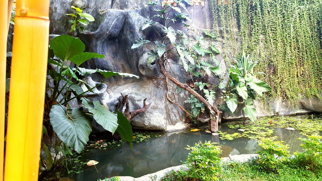 Soba Lanka Holiday Resort Melsiripura 외부 사진