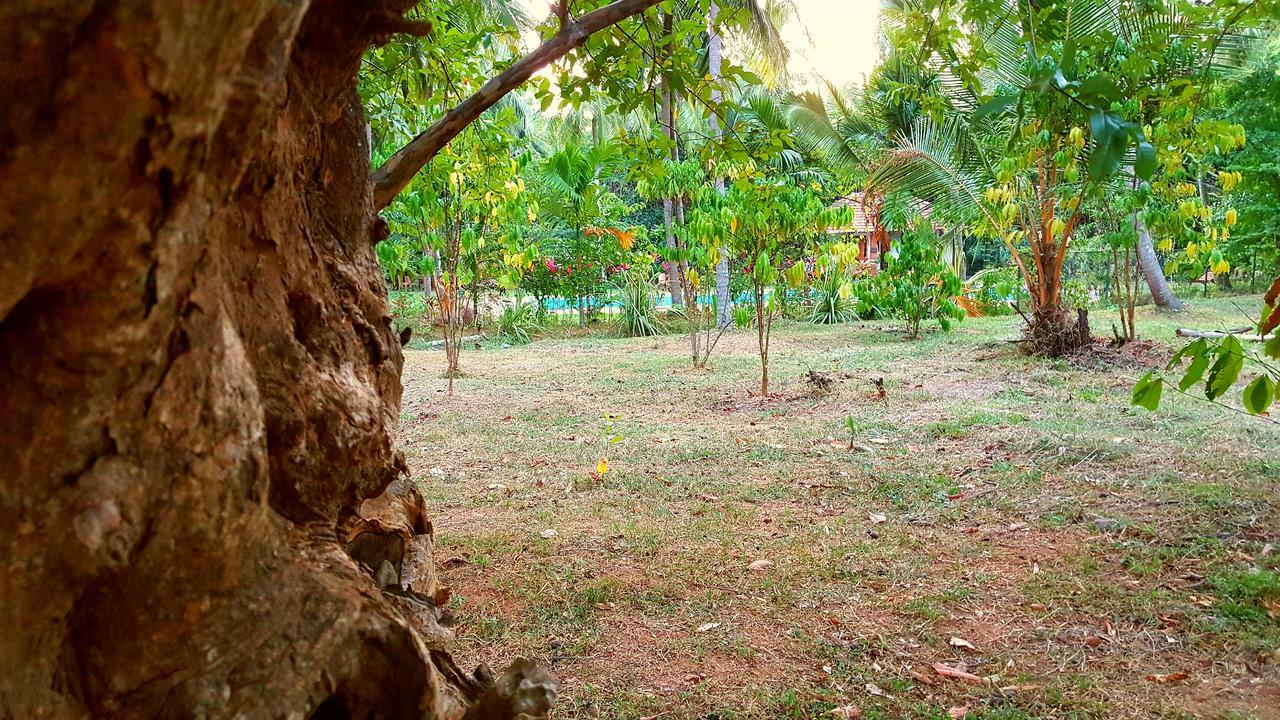 Soba Lanka Holiday Resort Melsiripura 외부 사진