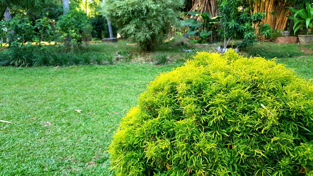 Soba Lanka Holiday Resort Melsiripura 외부 사진