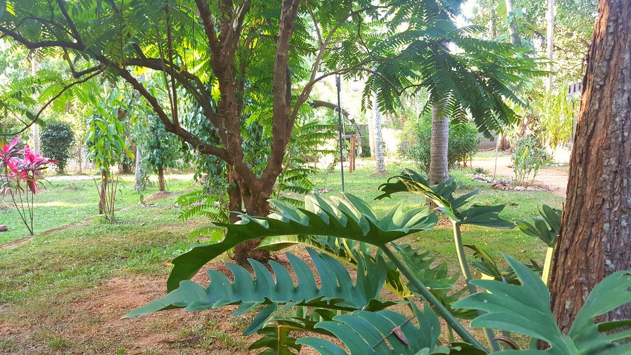 Soba Lanka Holiday Resort Melsiripura 외부 사진