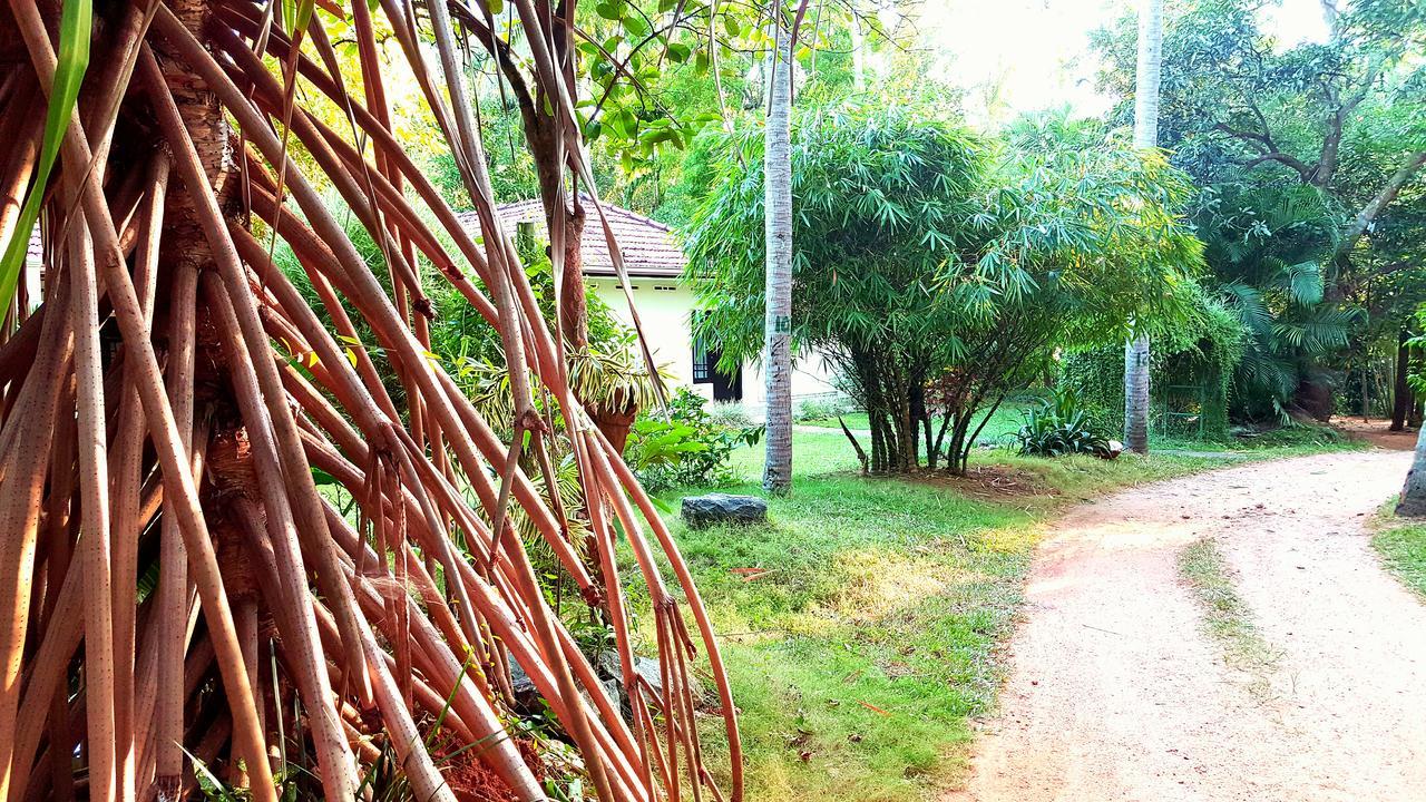 Soba Lanka Holiday Resort Melsiripura 외부 사진