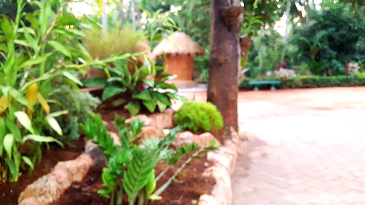 Soba Lanka Holiday Resort Melsiripura 외부 사진