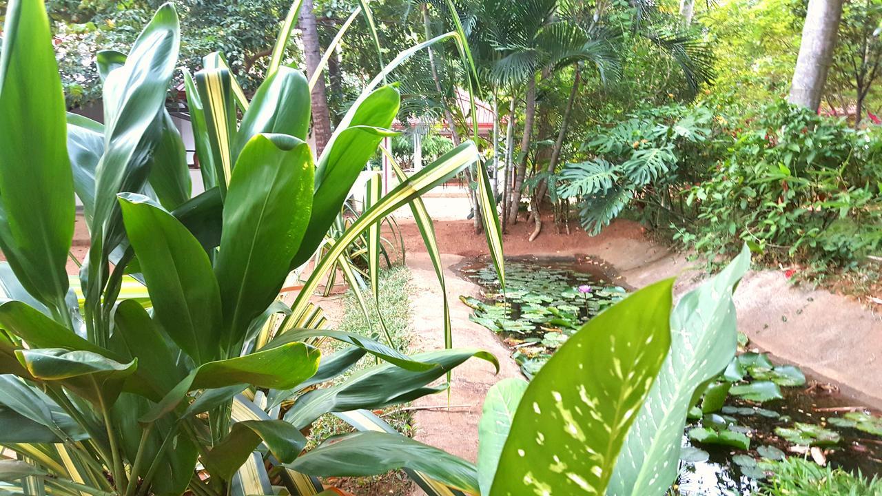 Soba Lanka Holiday Resort Melsiripura 외부 사진