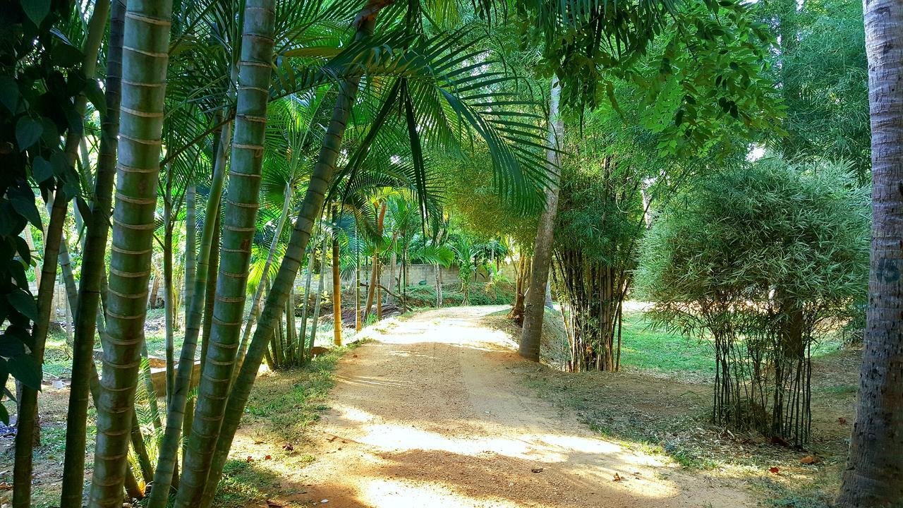 Soba Lanka Holiday Resort Melsiripura 외부 사진